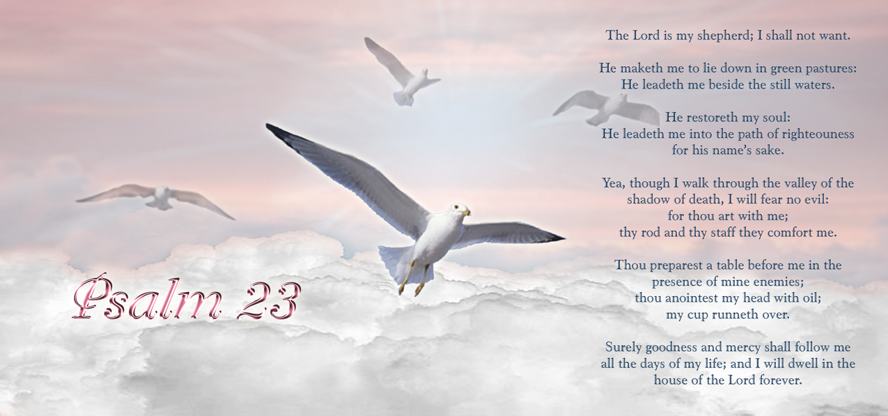 Pink Clouds Psalms 23 (with Birds) PROOF